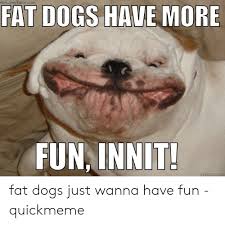 At memesmonkey.com find thousands of memes categorized into thousands of categories. Fat Dog Meme Special Diet