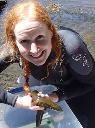 Dr. Amber Pitt joins ENVS Program