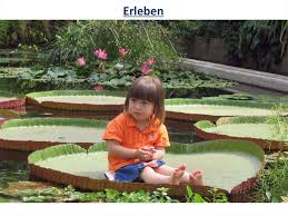 See more of botanische gärten der universität bonn on facebook. Botanischen Garten Der Universitat Bonn Online Presentation