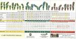 Boone Links - Ridgeview-Lakeview - Course Profile | Course Database