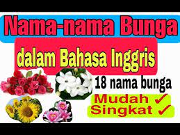 Nama bunga dalam bahasa inggris learn with flashcards, games and more — for free. Nama Nama Bunga Dalam Bahasa Inggris Flowers English Belajaronline Youtube