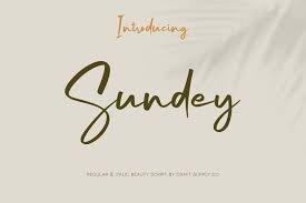 If you have any gorgeous fonts for us, log in and share them. Sundey Beauty Script Font 930146 Handwritten Font Bundles In 2020 Script Fonts Download Handwritten Script Font Script Fonts