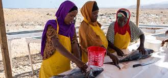 Niiko gabdho qooqan 2019 somali best niiko niiko cusub wasmo live ah siigo raaxo bashaal jaam 2019. Canab Siigo Somalia