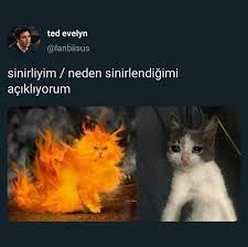 Bu Bne 2020 Komik Seyler Komik Deyisler Komik Goruntuler