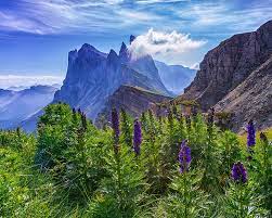 There is the lift from near the centre of ortisei which takes you up to the top if the. Seceda Seilbahnen St Ulrich In Groden Dolomiten Sudtirol Italien