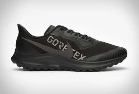 Tenis Nike Zoom Pegasus 36 Trail Gore Tex