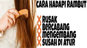 In kungfu you leap, jump, scream, shout, grunt and punch and kick 100 times but no one dies. Cara Meluruskan Rambut Dengan Catokan Tanpa Merusak Rambut Youtube