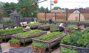 Detail garden roof design, a roof is part of a building envelope. 10 Rooftop Vegetable Garden Ideas Most Of The Awesome As Well As Stunning Vegetable Garden Planning Roof Garden Rooftop Garden