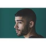 Buy houzz Music Zayn Malik Wall (Paper, Multicolour) Online at  desertcartQATAR