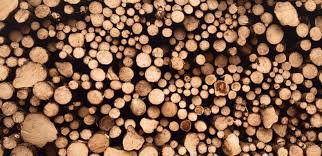 We did not find results for: Holzarten Fur Mobel Massiv Furnier Mdf Deinschrank De