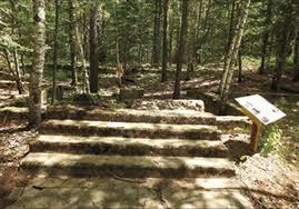 Image result for White 1990 Land O Lakes