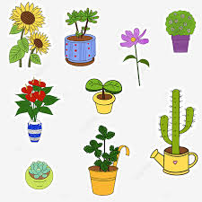 Vine liana tropical rainforest graphy jungle, jungle, brown roots and green leaves against blue background, leaf, branch, plant stem png; Japanese And Korean Wind Plants Flowers Stickers Lovely Japanese And Korean Style Plant Png Transparent Clipart Image And Psd File For Free Download