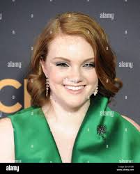 Purser hi-res stock photography and images