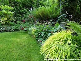 Pin By Doug Harrington On My Garden Pacific Nw Plants Plants For Shady Areas Border Plants Plants