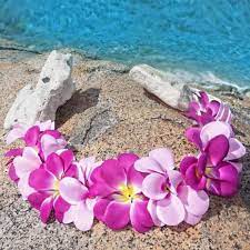 Lilac Lavender Hawaiian Plumeria Flower Crown Hawaiian Plumeria Flower Crown Plumeria Flowers
