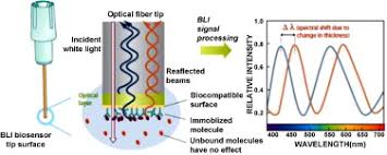 Interferometry is an important investigative technique in the fields of astronomy, fiber optics, engineering metrology. Application Of Bio Layer Interferometry For The Analysis Of Protein Liposome Interactions Sciencedirect