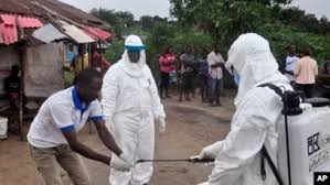 The ebola virus can cause severe viral haemorrhagic fever (ebola hf) outbreaks in humans with a case fatality rate of up to 90%. Uji Genetika Sedang Berlangsung Terkait Virus Di Balik Wabah Ebola Baru