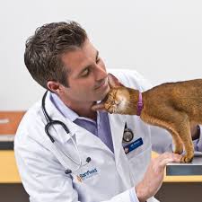 Together, we're bonded by a commitment to our purpose: Banfield Pet Hospital In Hoover Parkbench