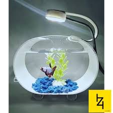 Model aquarium mini yang ke lima adalah aquarium yang memiliki ruang kosong pada bagian tengah. Jual Produk Rumah Mini Ikan Hias Termurah Dan Terlengkap Juli 2021 Bukalapak