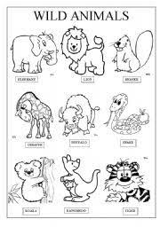 Wild Animals Worksheet By Magda Animals Wild Animal Worksheets Animal Coloring Pages