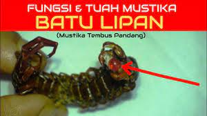 Check spelling or type a new query. Fungsi Tuah Batu Lipan Untuk Tembus Pandang Apakah Benar Youtube