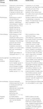 Drastic decline in their appetite or no interest in eating at all Treatment Options For Invasive Urinary Bladder Cancer In Humans And Dogs Download Scientific Diagram