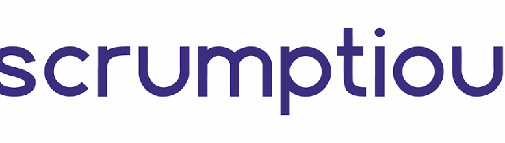 Scrumptious Lips Inc logo or brand image