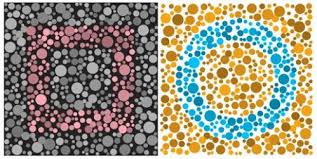 Color blindness app is mainly for kids to test whether the kid has difficulty to identify and memorize the colors. Free Color Blindness Test App From Enchroma Can You See The Shapes The Gamer With Kids