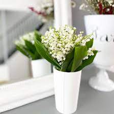 La ville de nantes assure également la distribution des clochettes blanches aux personnes âgées. Agneau Chaussures De Glissement Lier Acheter Des Chapeaux De Muguet Enfant Extraordinaire Suivez Nous La Fourniture
