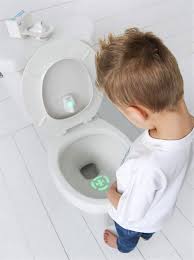 Designing a bathroom is a rewarding yet challenging project. The Toddler Target Toilet Light Aims To Make Potty Training Fun Parents