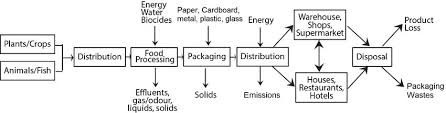 Simplified Flow Sheet Of The Supply Chain Of The Food