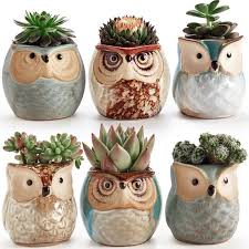Sun E 2 5 Zoll Eulentopf Keramik Fliessende Glasur Basis Serial Set Sukkulenten Topf Kaktus Blumentopf Blum Sukkulente Topfe Sukkulenten Pflanzen Keramik Blumen
