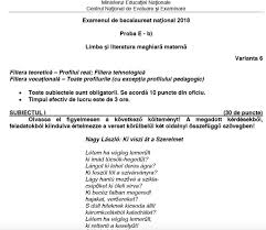Model de subiect + barem la logica, argumentare si comunicare bacalaureat 2018 (*pdf) subiecte. Bac 2018 Subiectele La Limba È™i Literatura MaternÄƒ Au Fost Publicate Pe Edu Ro Hotnews Mobile