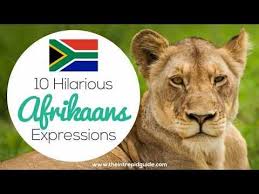 Afrikaans Is One One Of The Easiest Languages To Learn And Make You Laugh Translating Afrikaans To English These Afrikaans Afrikaans Language African Proverb