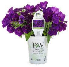 We did not find results for: Home Gardener S Shop Proven Winners