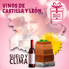 Influencia del clima y suelo en los aromas de los vinos de Castilla y León