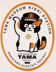 tama museun kishi station plate tama calico cat cat training