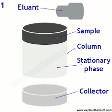 How Does Chromatography Work Explain That Stuff