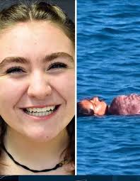 To these amazing guys that helped me and some of my neighbors dogs that I  rescued. I was worried there were too many dogs