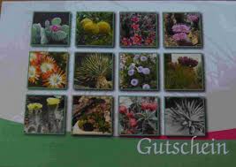 We did not find results for: Gutschein 15 Euro Gutscheine Kakteen Winterhart Kakteen Garten