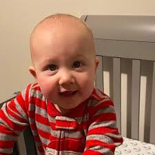 How to identify and care for unknown plants in a newly acquired garden?