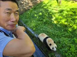 😍😍😂4/7/2024(4/4/2024 ngày Fu Bao về nước) Thật trùng hợp là vừa trò...