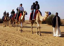 Our favourite camel expert andy tells us how to ride a camel and gives an insight into what it's really like, providing technical tutelage and some more practical as it rises try to imagine yourself anywhere but where you are, if this is not possible turn to your god or other for guidance in this moment of horror. Camel Riding