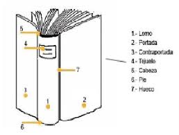 Elementos internos de un libro. Dibuja Un Libri Con Sus Partes El Libro Y Sus Partes I Testi In Gran Parte Rinnovati Sono Tutti Autentici Suara Hewan Mania