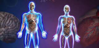 If you paid attention in history class, you might have a shot at a few of these answers. Ymca Level 3 Anatomy And Physiology Trivia Quiz Proprofs Quiz