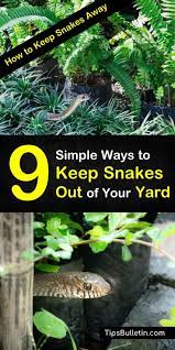 Check spelling or type a new query. 9 Simple Ways To Keep Snakes Out Of Your Yard How To Keep Snakes Away
