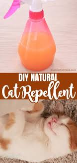 String makes an excellent homemade cat repellent when appropriately used. Natural Cat Repellent For Home Garden Easy Peasy Creative Ideas