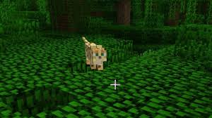 Es gibt gewöhnliche tiere, die in jedem biom, wo tiere spawnen können, vorkommen. Ozelot Bei Minecraft Zahmen So Geht S