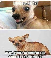 Pin De Martina Xdd En La Verdad En 2021 Memes Divertidos Memes Para Reirse Cosas Para Reir