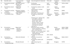 Image result for Kohautia confusa